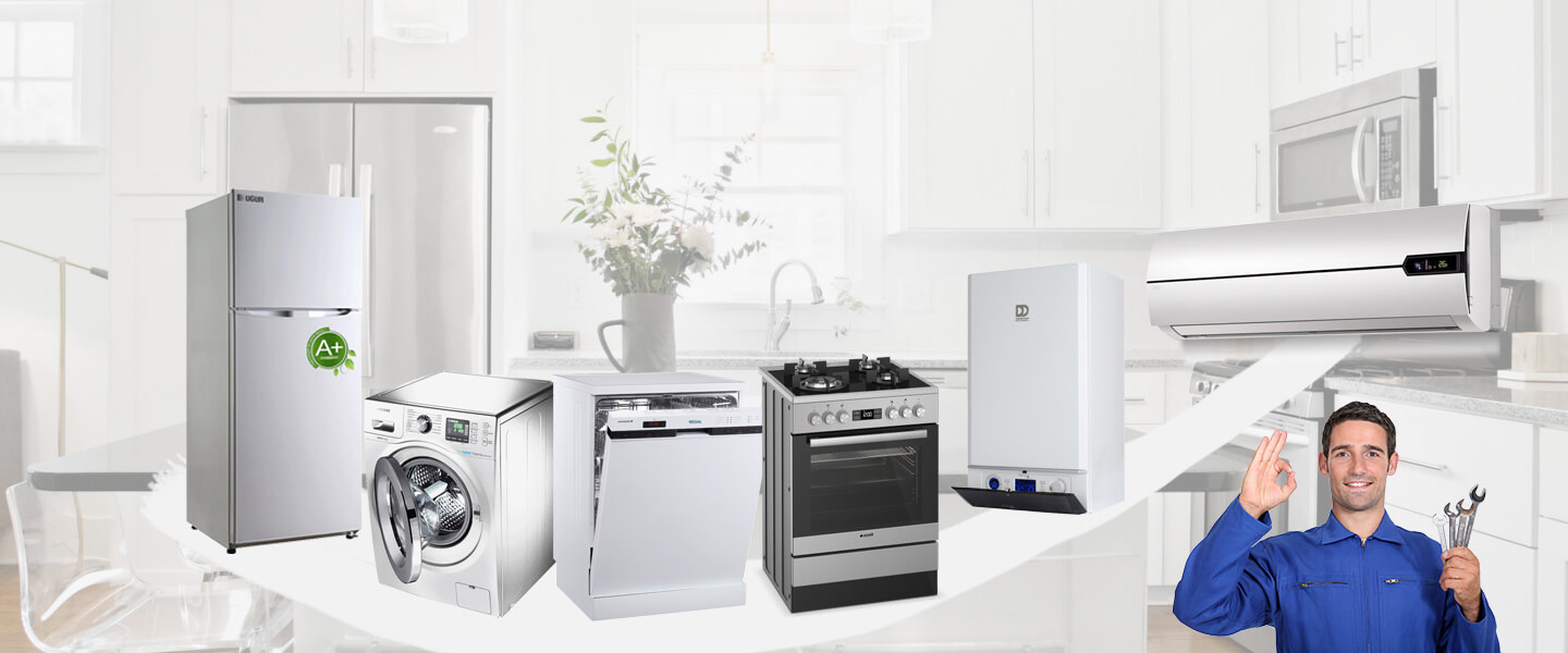 Bodrum Dominox Servisi
